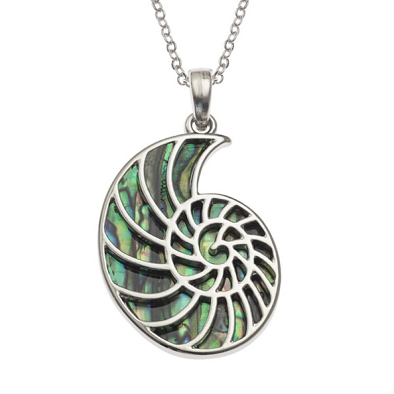 Ammonite Fossil Paua Abalone Shell Pendant Necklace Ammonite Fossil Paua Abalone Shell Pendant Necklace